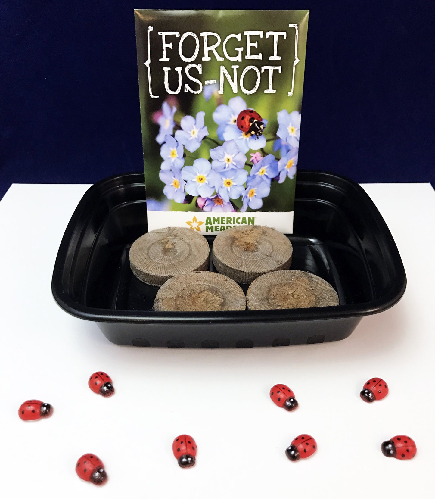 Ivy Kids Kit - Are you a Ladybug?