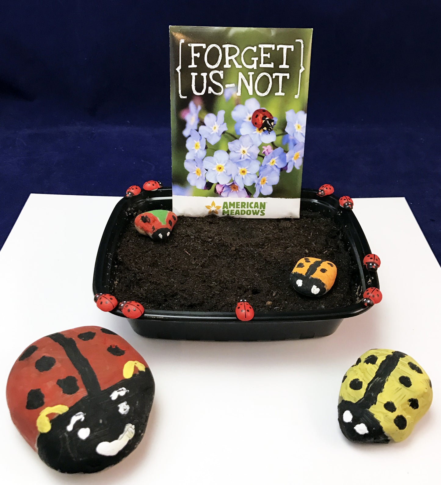 Ivy Kids Kit - Are you a Ladybug?