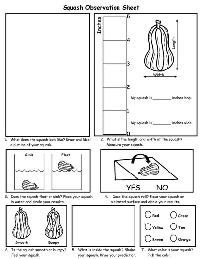 Squash Science Experiment Sheet kids