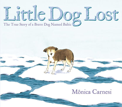 Little Dog Lost Book