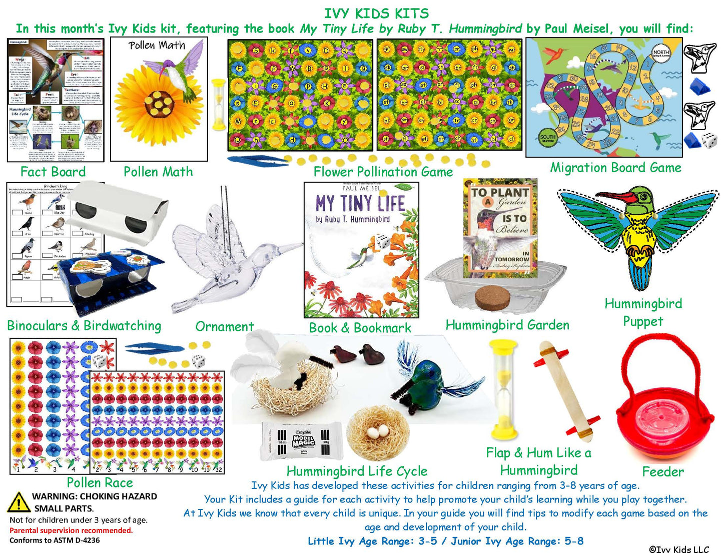 Hummingbird activities inspired by the book My Tiny Life