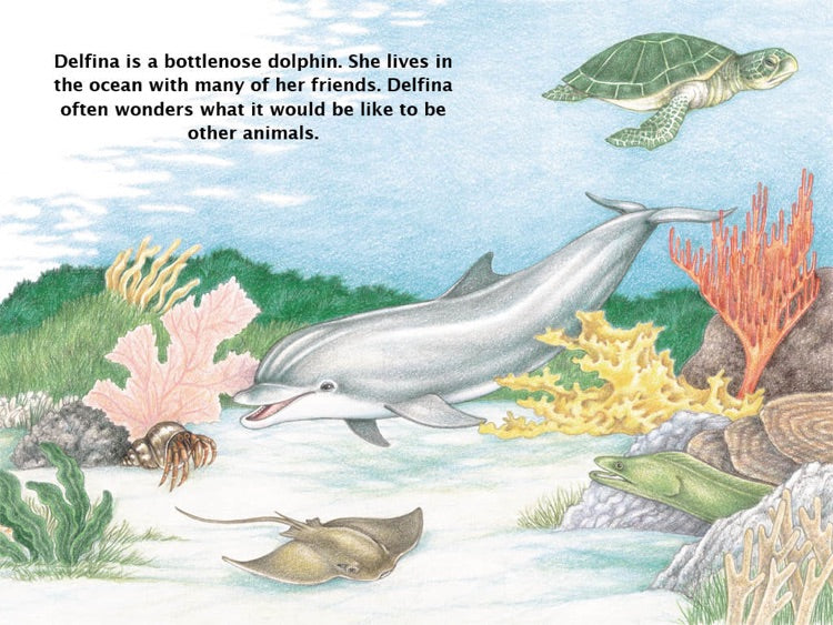 Ivy Kids Kit - If a Dolphin Were a Fish