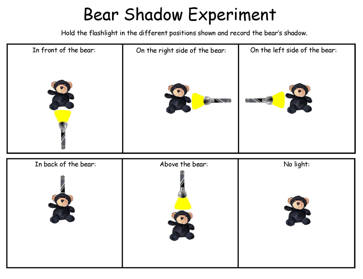 bear shadow experiment for kids