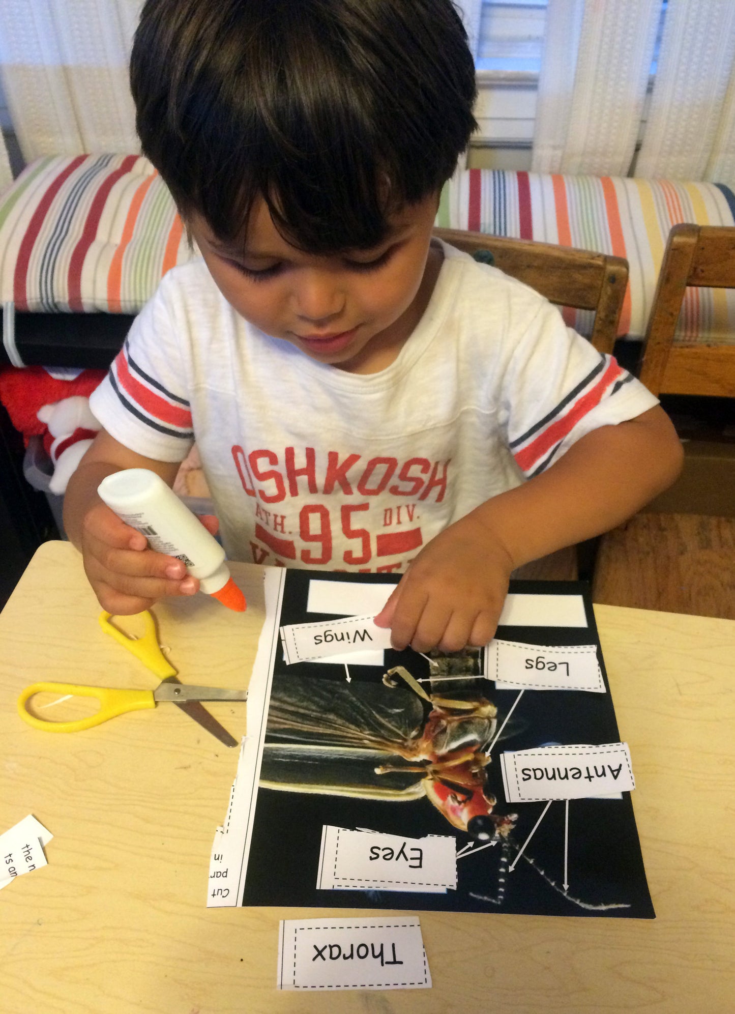 Science Activity - Learn about Fireflies Inspired by The Very Lonely Firefly by Eric Carle