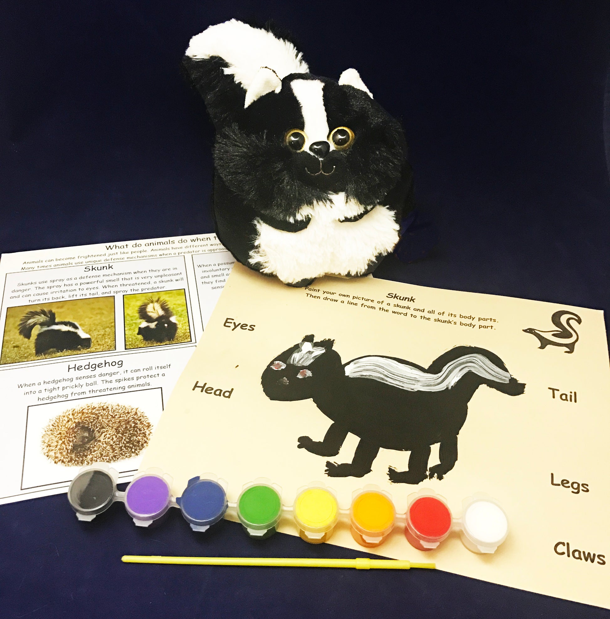Learn facts about a skunk and other Nocturnal Animals