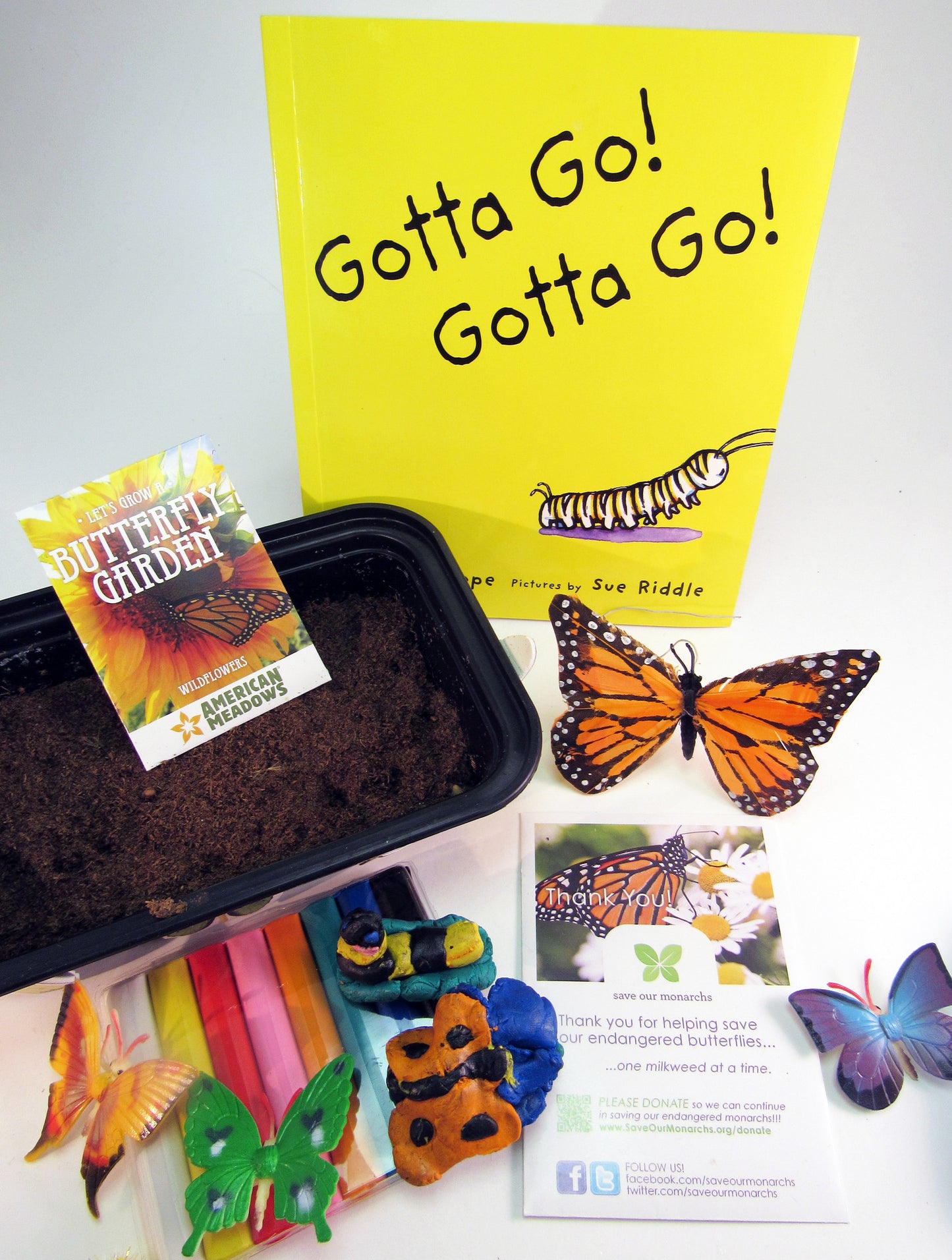 Ivy Kids Educational Activity Kit featuring the book Gotta Go! Gotta Go! by Sam Swope and over 10 art, literacy, math, and science activities inspired by the story. Learn about monarch butterflies. Perfect kit for spring.