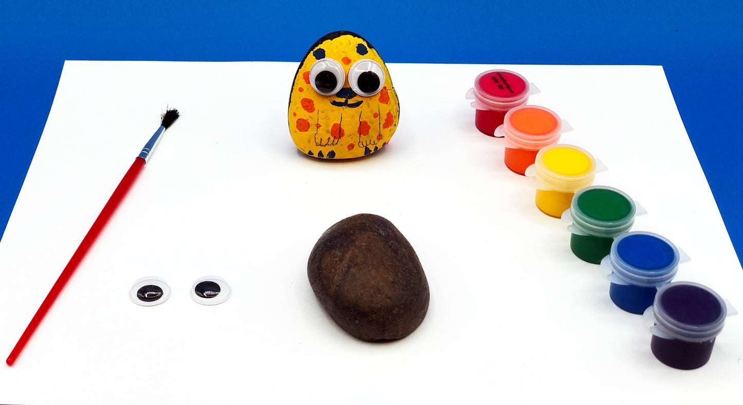 My pet rock kids activity