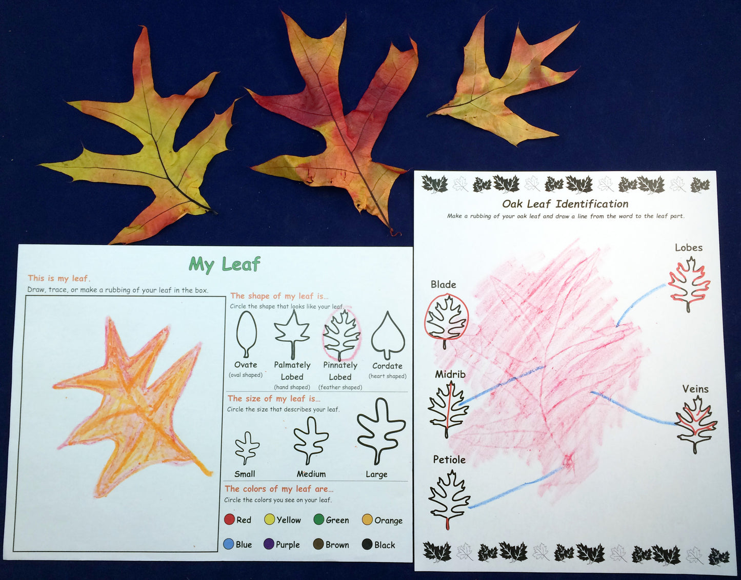 Ivy Kids kit - Leaves