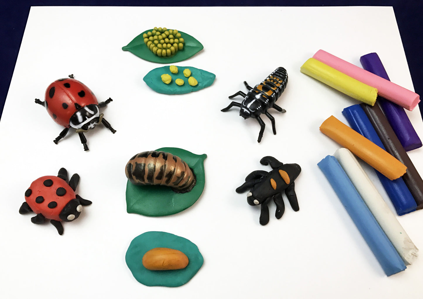 Ivy Kids Kit - Are you a Ladybug?