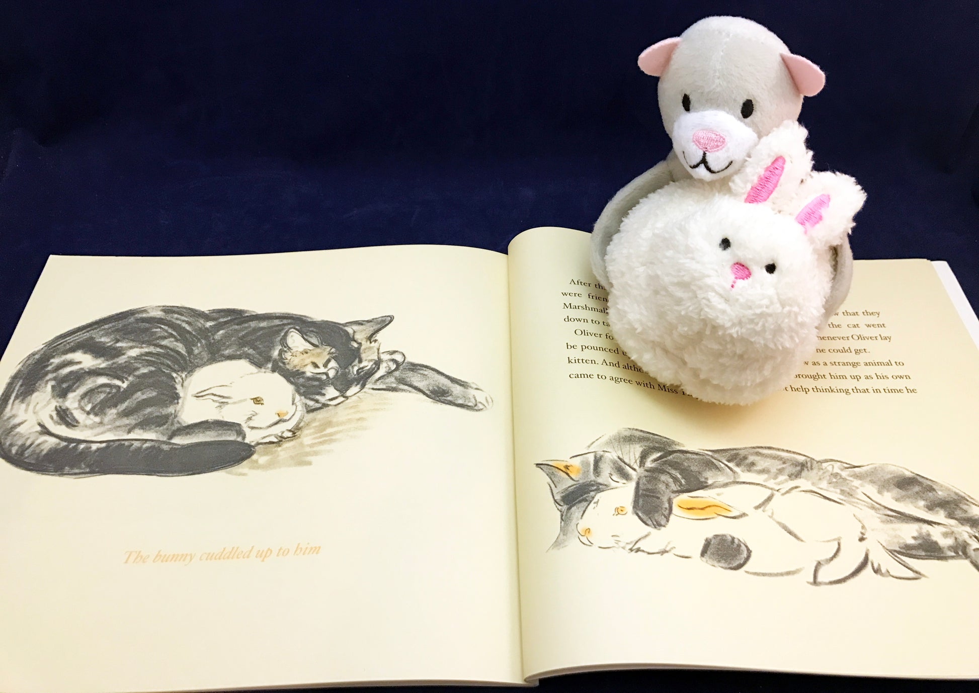 Story Retelling Language Arts Activity for Marshmallow Bunny by Clare Turlay Newberry