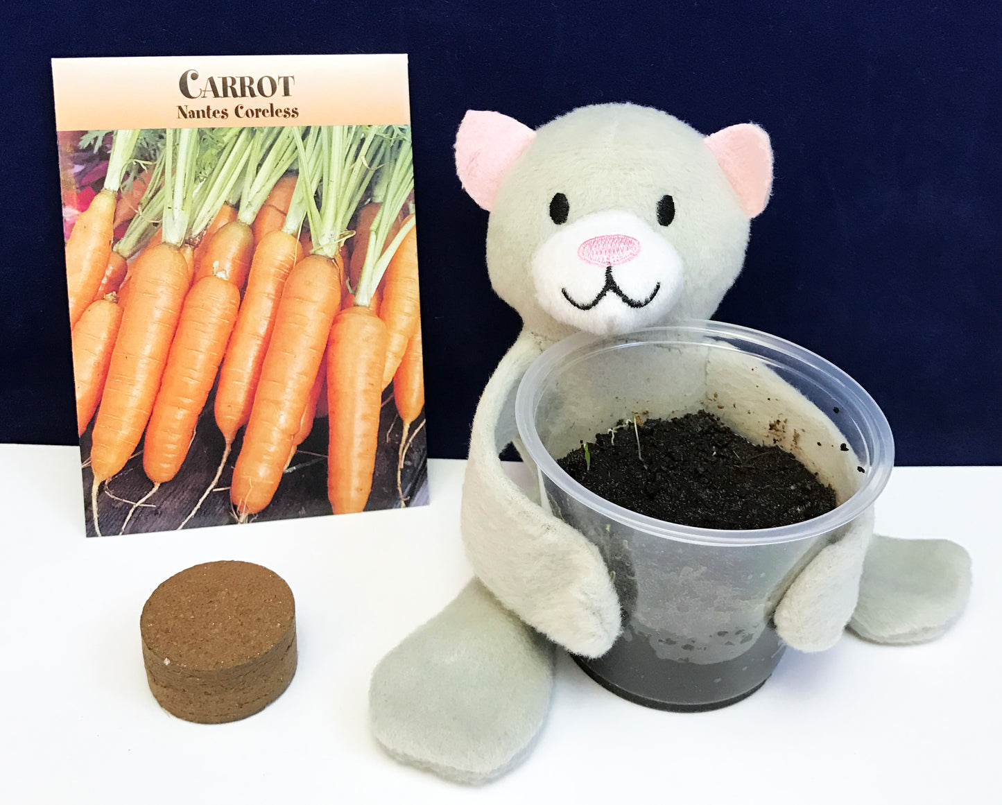 Growing Carrot Seeds for kids