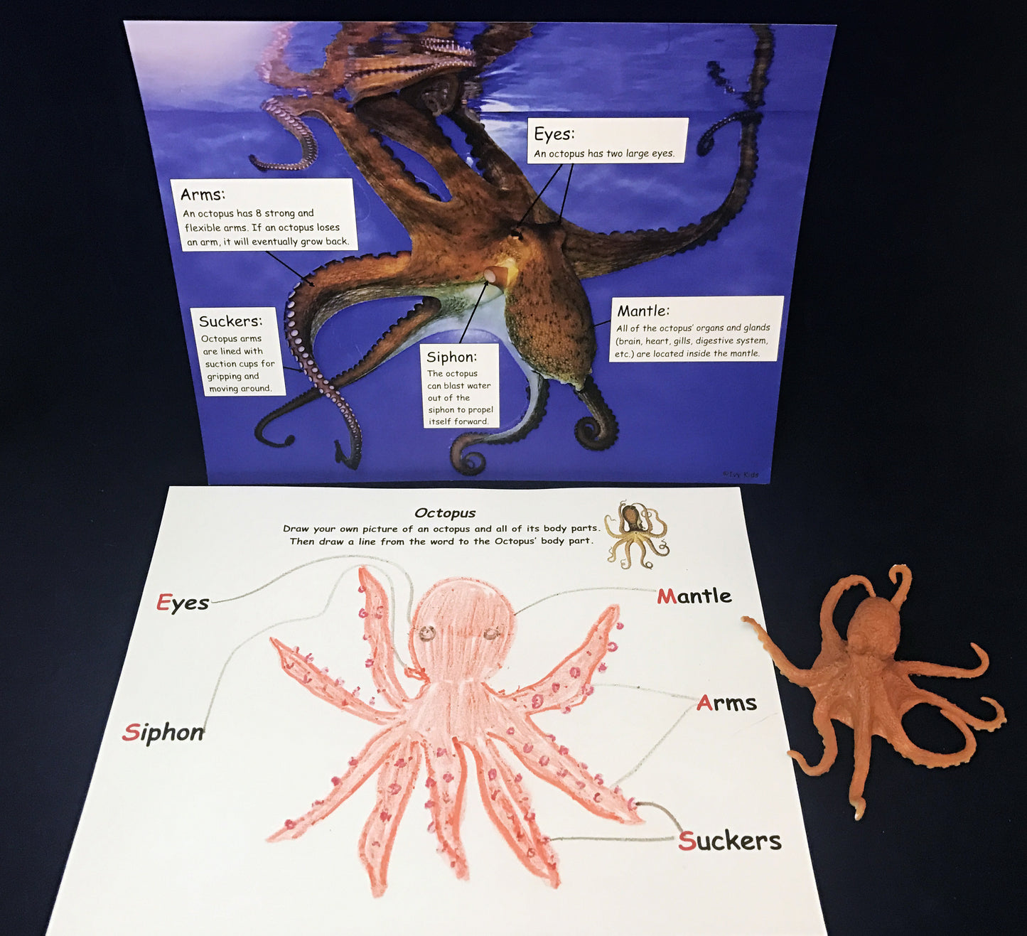 Ivy Kids kit - Octopus Escapes Again!