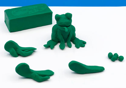 Clay frog life cycle kids craft