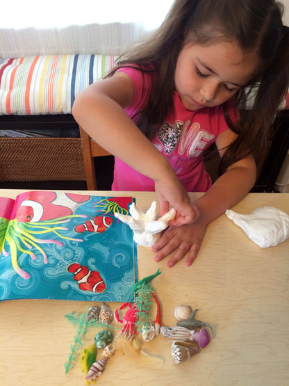 Science and art activity inspired by the book Over in an Ocean in a Coral Reef. Use clay, sea creatures and seashells to create your own coral reef.