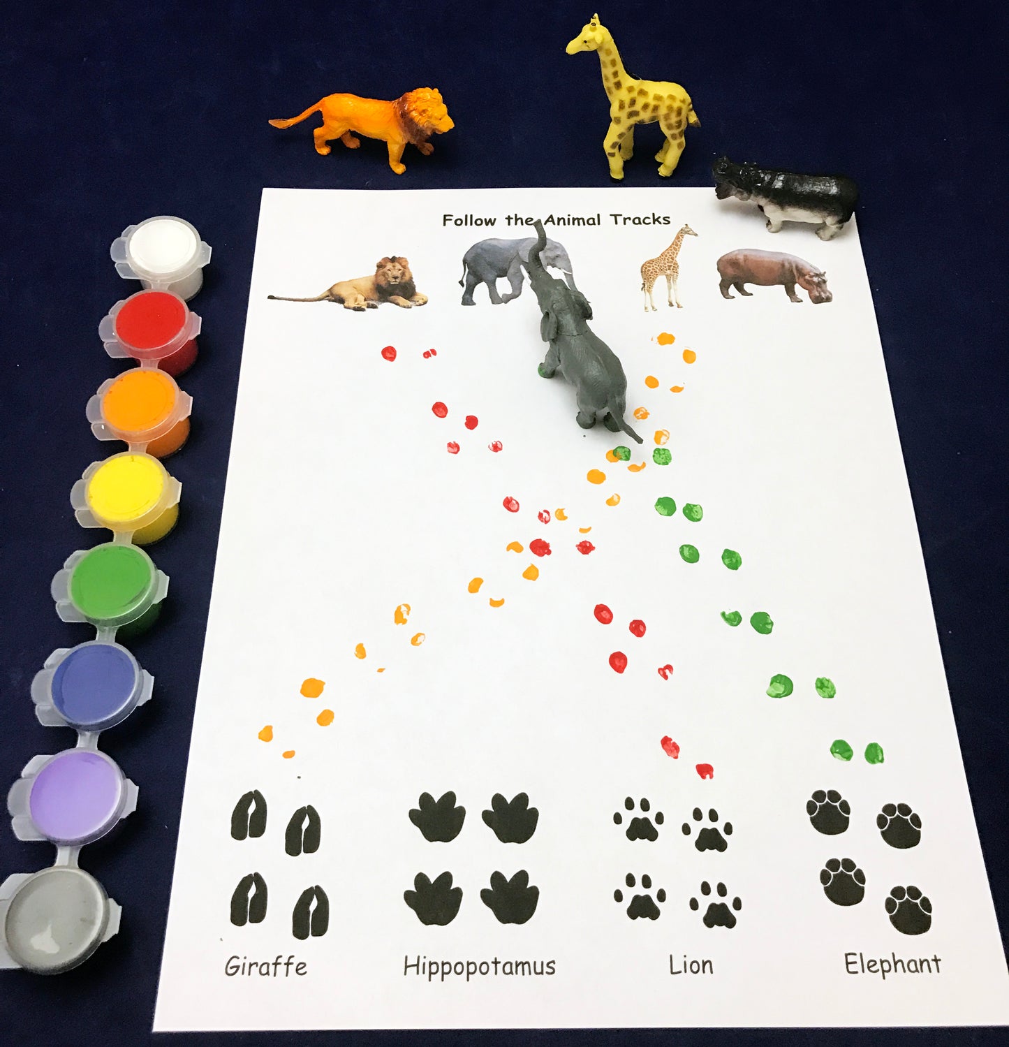 Animal Tracks project science activity kids