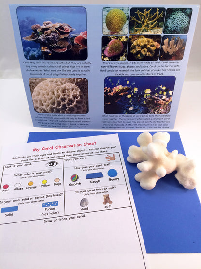 Science activity inspired by the book Over in an Ocean in a Coral Reef. Exploring coral and recording observations.