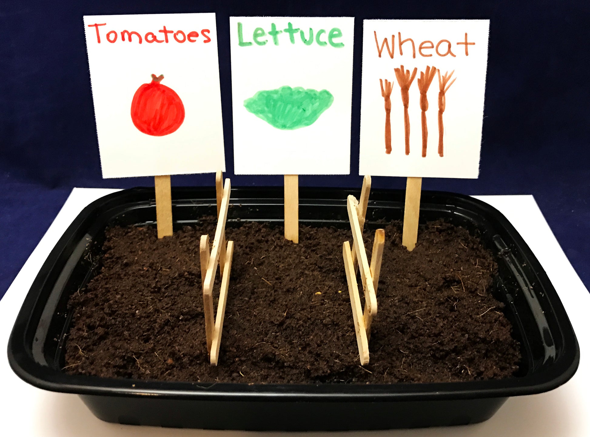 Plant your own crops science activity Farm theme kids