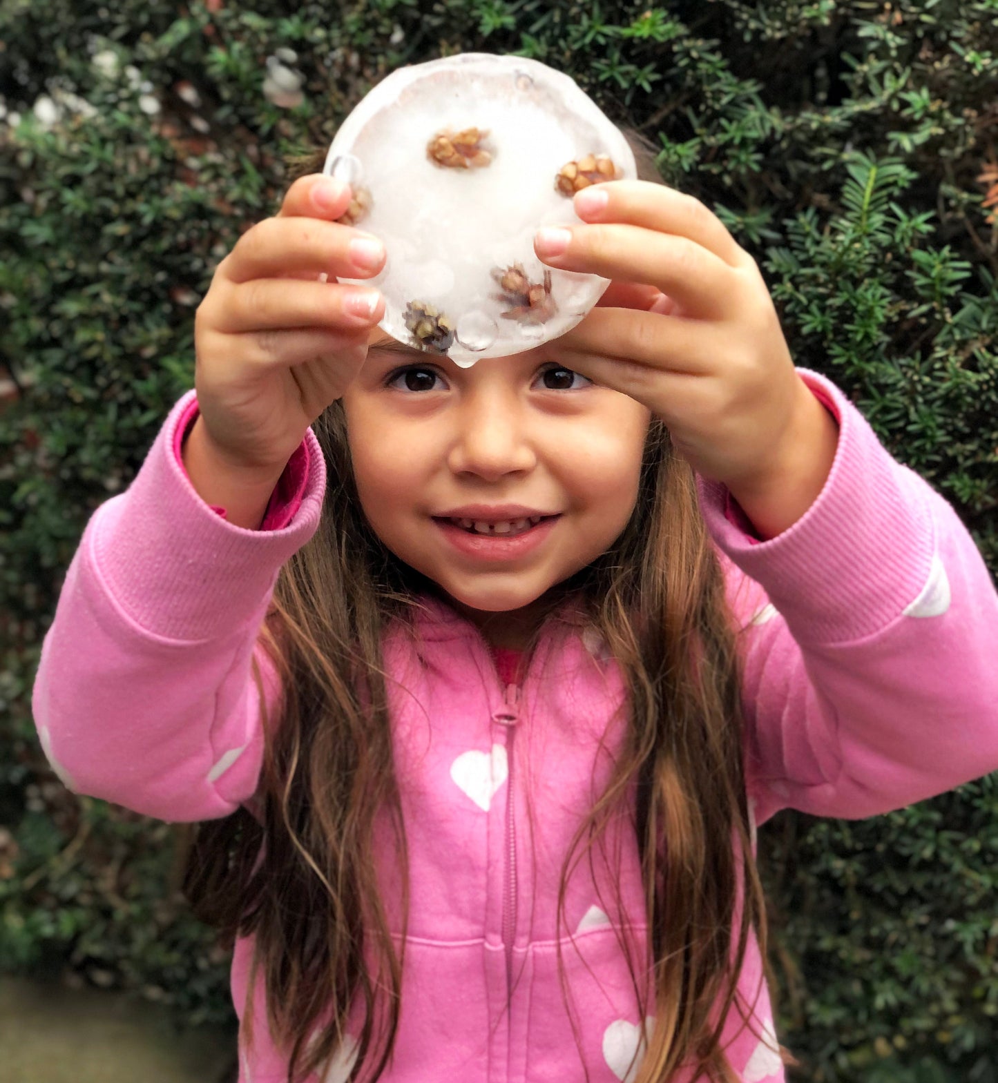 Frozen Pond Science activity experiment