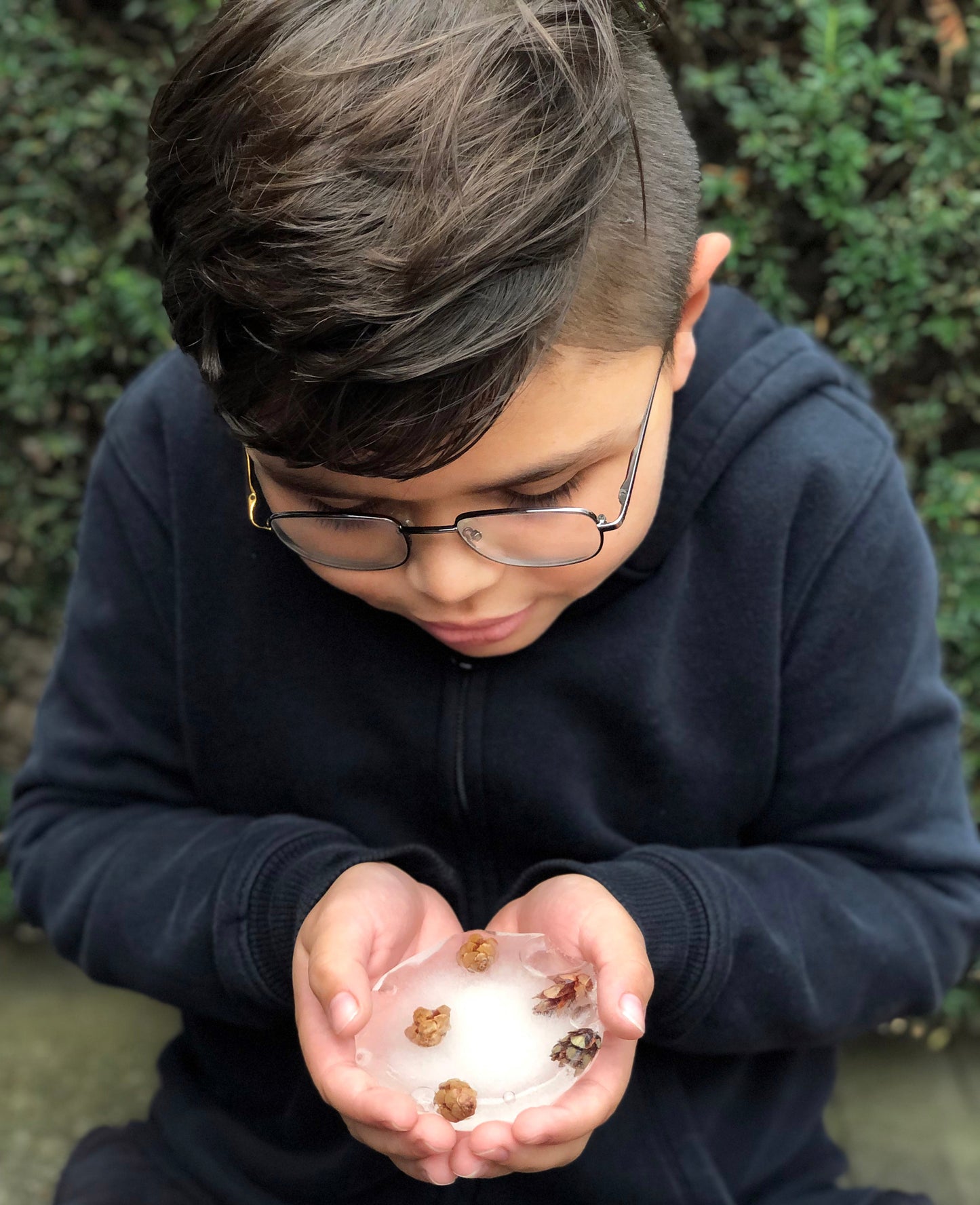 Frozen Pond Science activity experiment