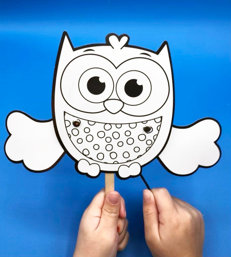 Owl STEM project with Flapping Wings